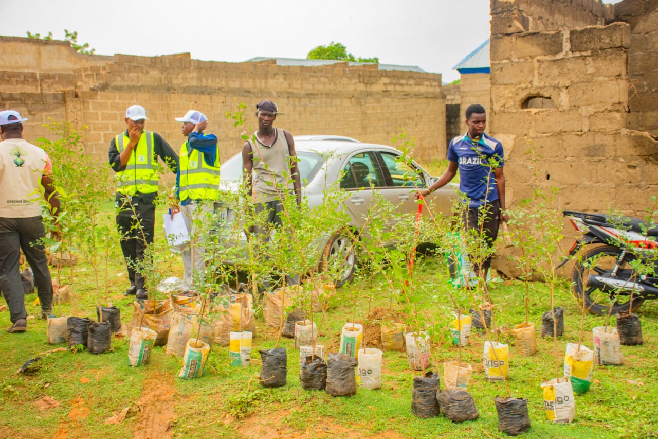 Tree Planting Action