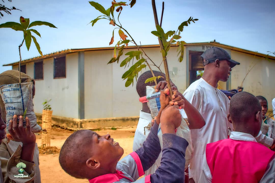 School Greening