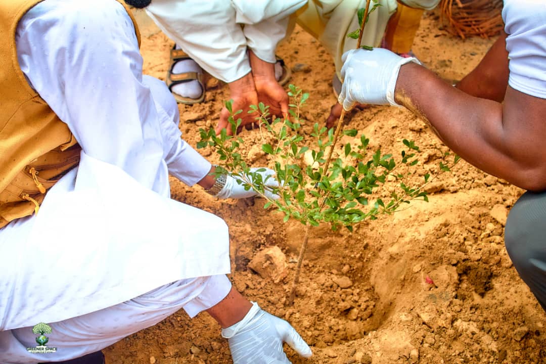 Educational Greening