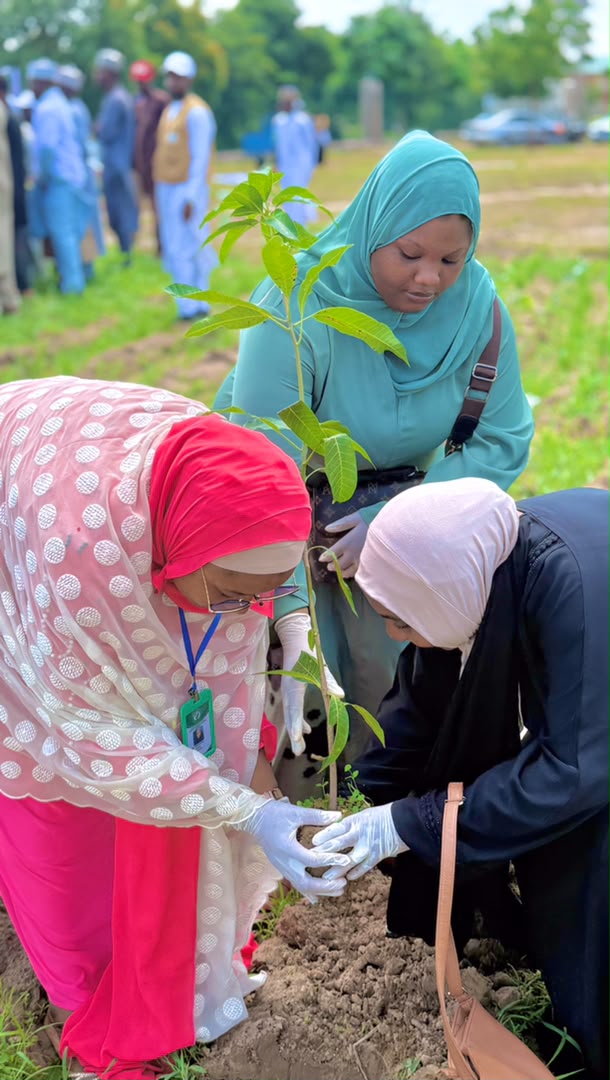 GSF community environmental action