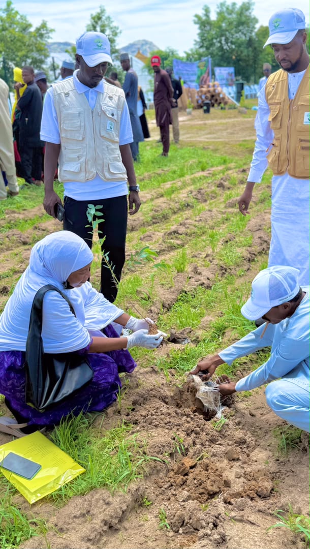 Indigenous species restoration