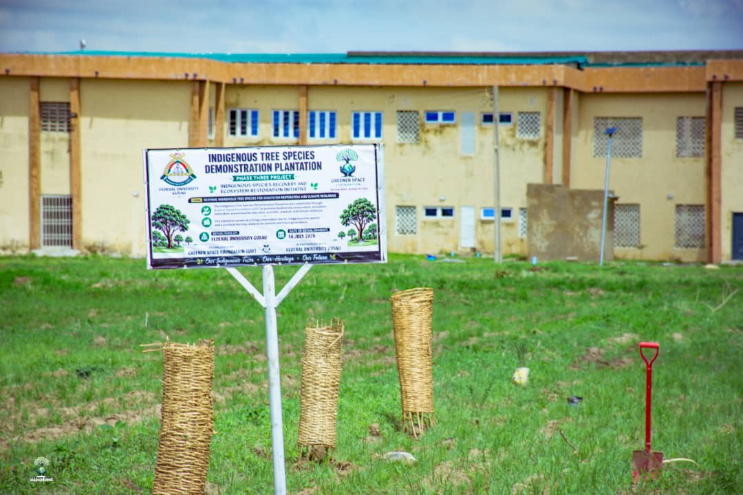 School greening activity