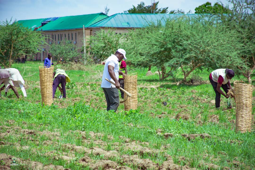Community tree planting