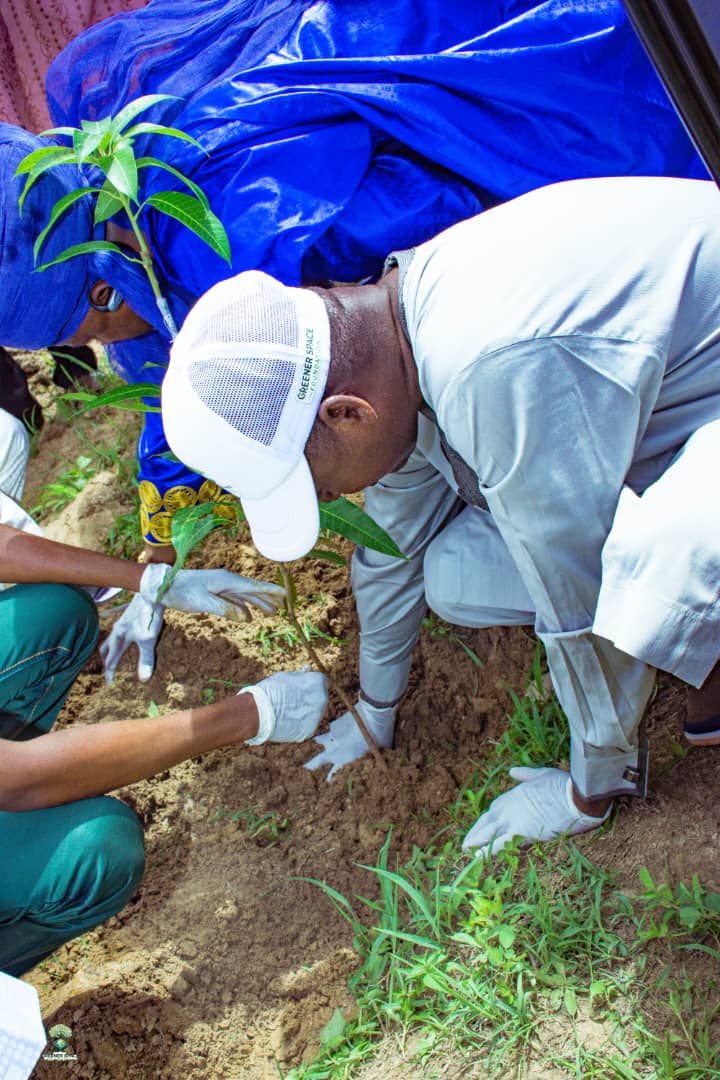 Ecosystem restoration field work